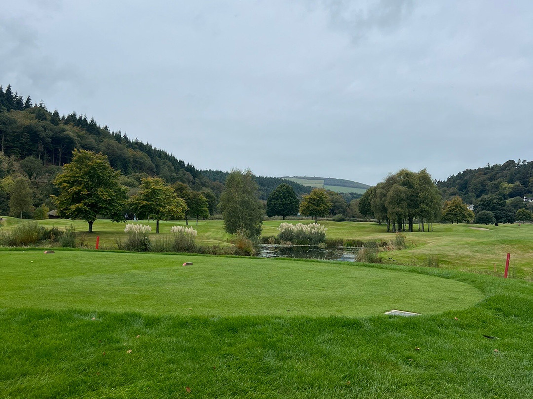 Woodenbridge Golf Club景点图片