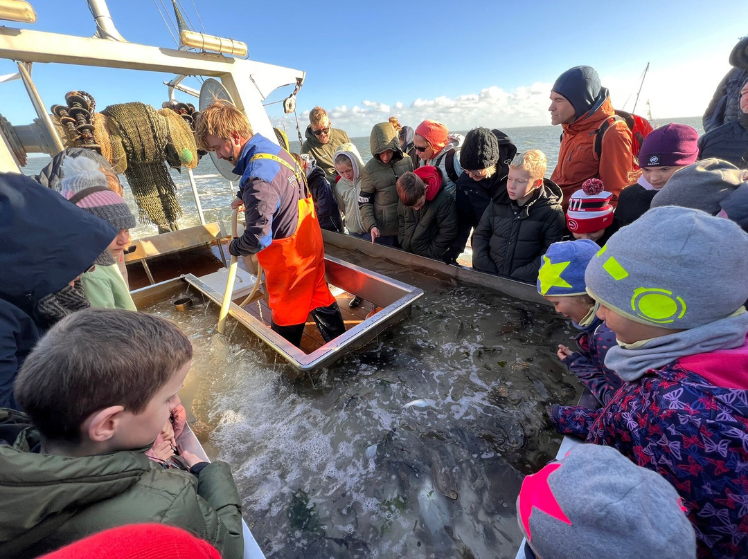 Expeditie Waddenzee景点图片