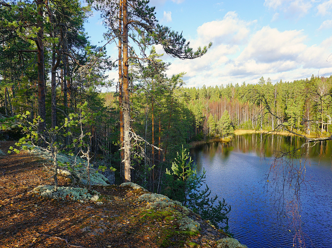 Kammarmaen Luontopolku