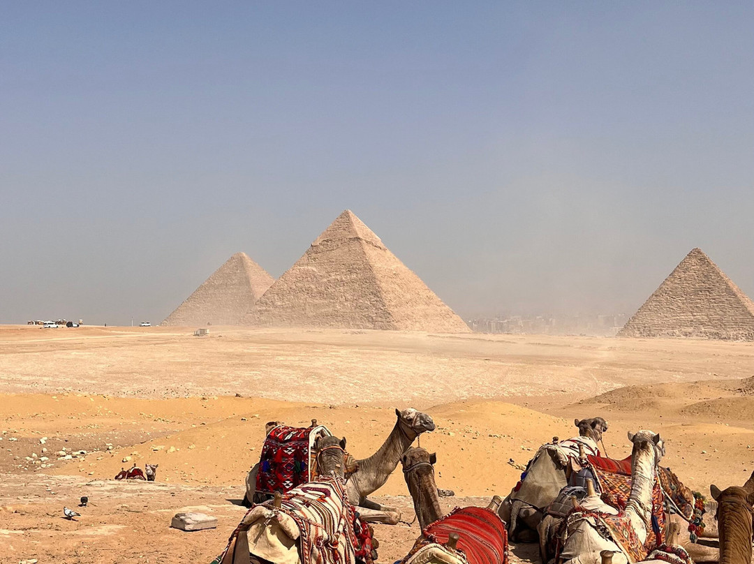 KING OF EGYPT-Sheikh Zayed City必去景点