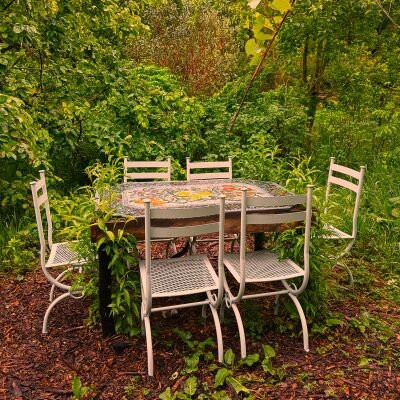 Tinui Food Forest景点图片