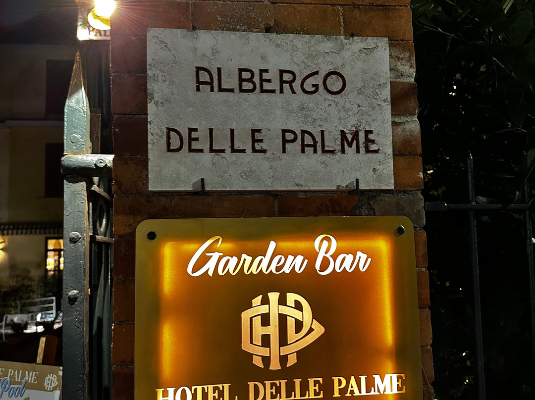 Hotel Delle Palme主图