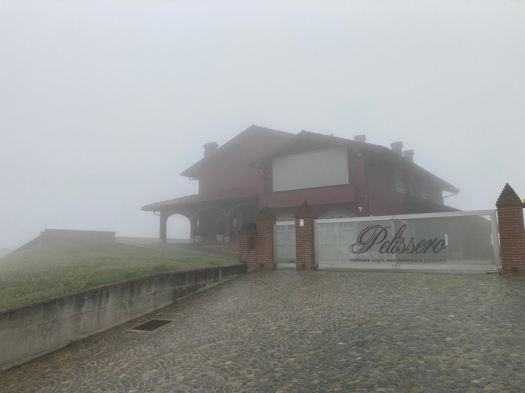 Azienda Agricola Pelissero景点图片
