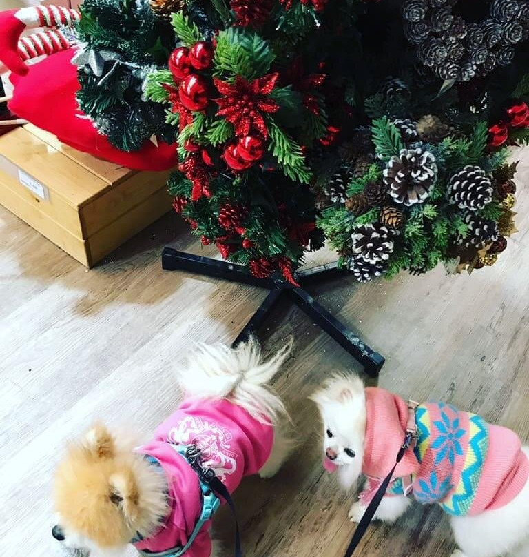 Paradise Park-Newhaven必去景点