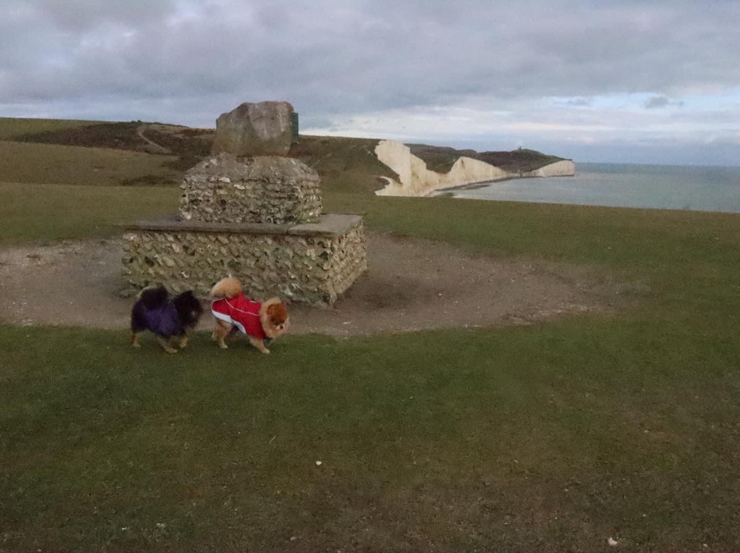 Friston Forest景点图片