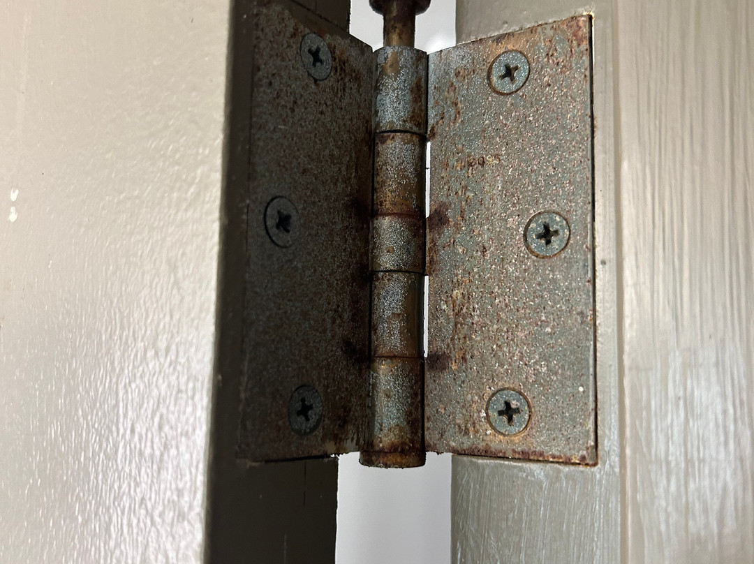 Wingate by Wyndham Williamsburg主图