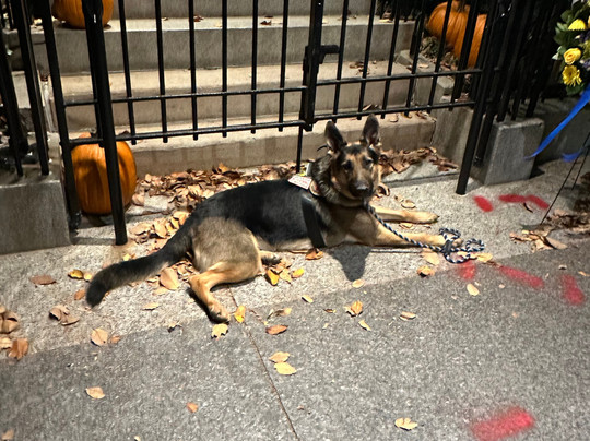 DC Ghosts-华盛顿特区必去景点