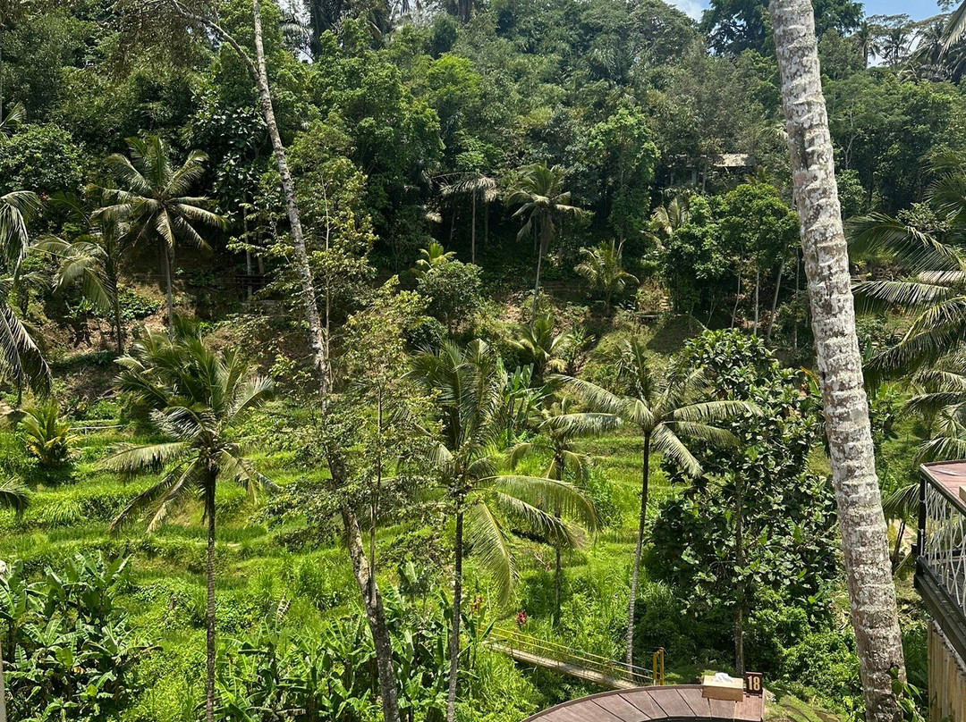 Samanjaya Trans Bali-Kuta Selatan必去景点