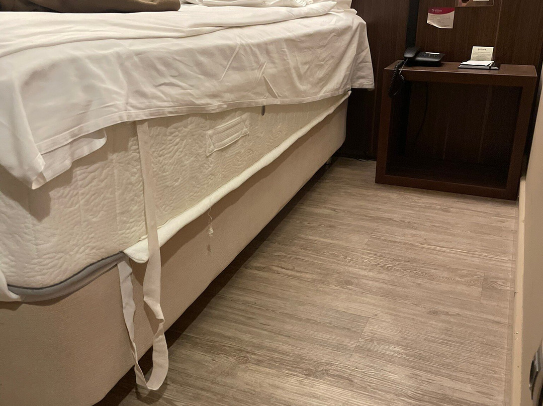 Ramada Encore by Wyndham Izmir主图
