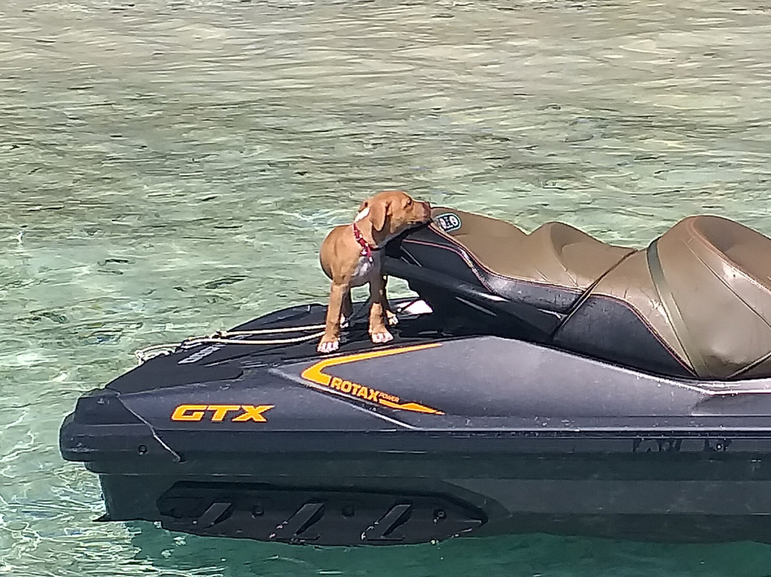 Tahaa Salty Services-塔哈岛必去景点