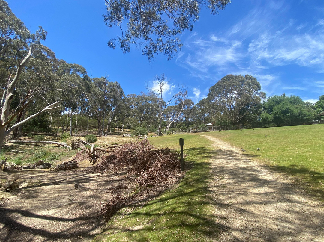 Warrawong Wildlife Sanctuary景点图片