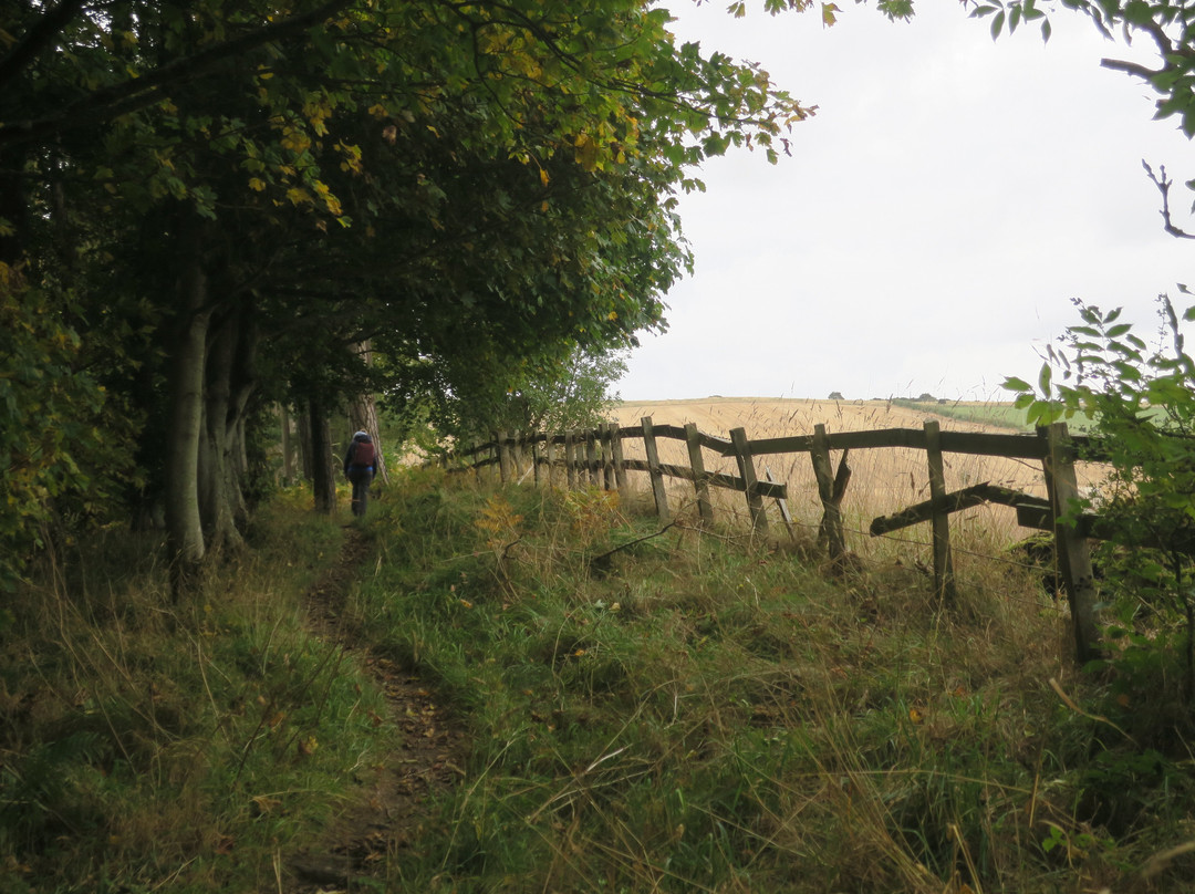 Northern Adventures-Amble必去景点
