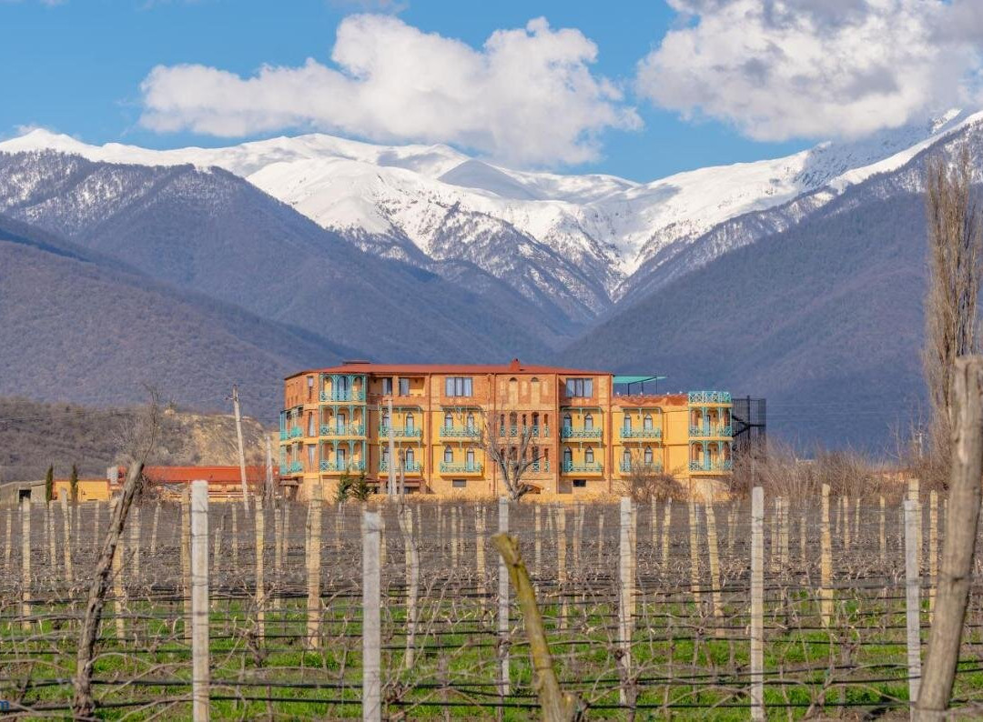 Burki Castle & Cellar Hotel