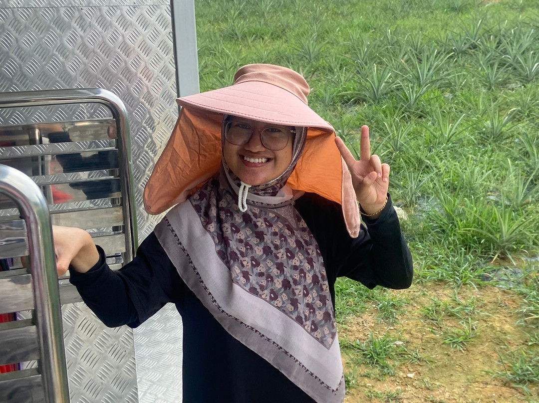 Sky Ladder Pineapple Farm-波德申必去景点