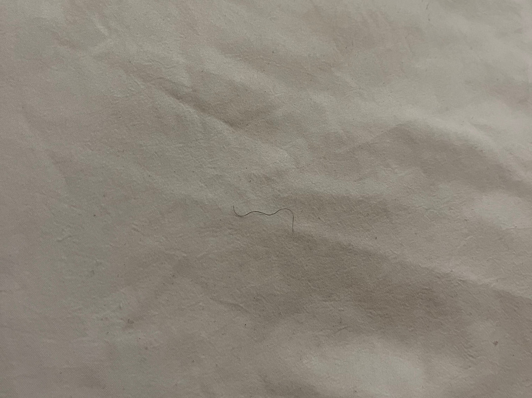 My Place Hotel - Kansas City / Independence, MO主图