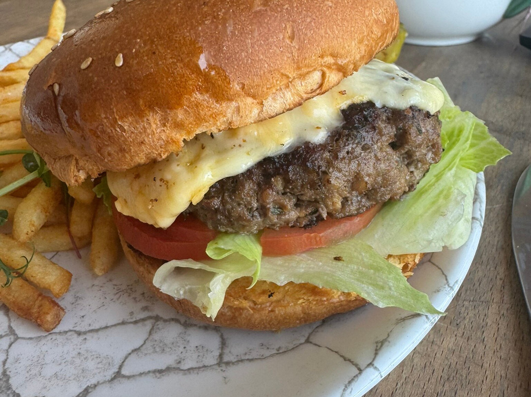 索奈科斯贵宾酒店主图