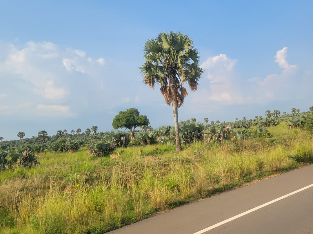 Beverly safaris africa-坎帕拉必去景点