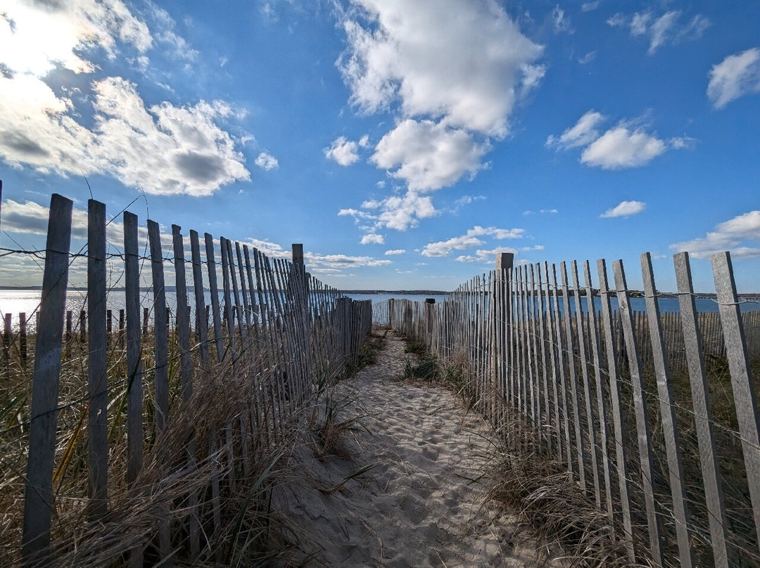 Duxbury Beach Park景点图片