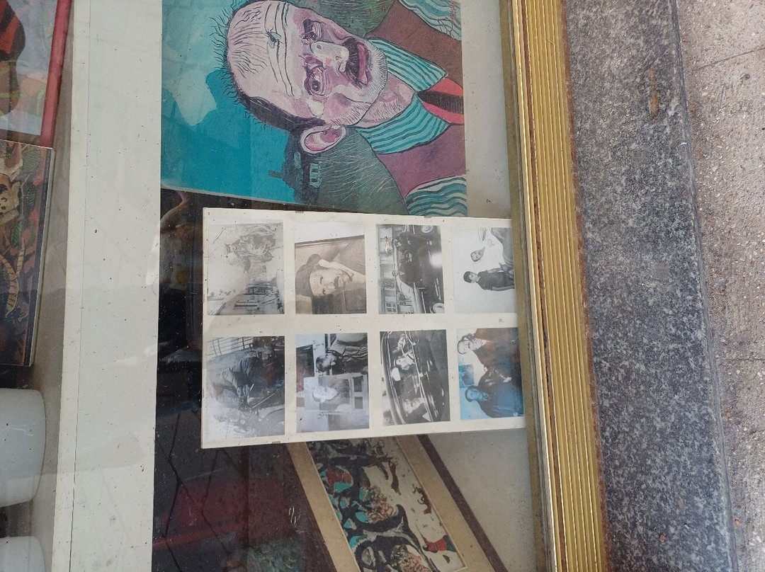 Casa Museo Antonio Ligabue景点图片
