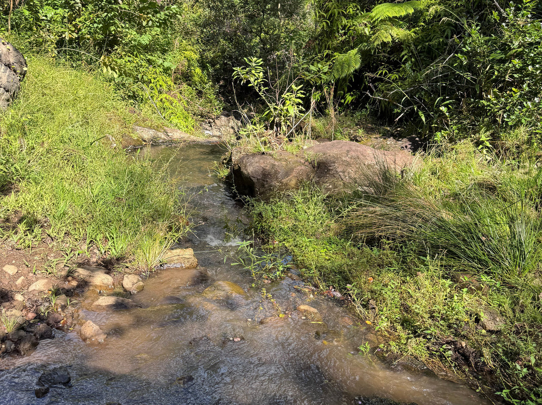 Flumin’ Kohala-哈威必去景点