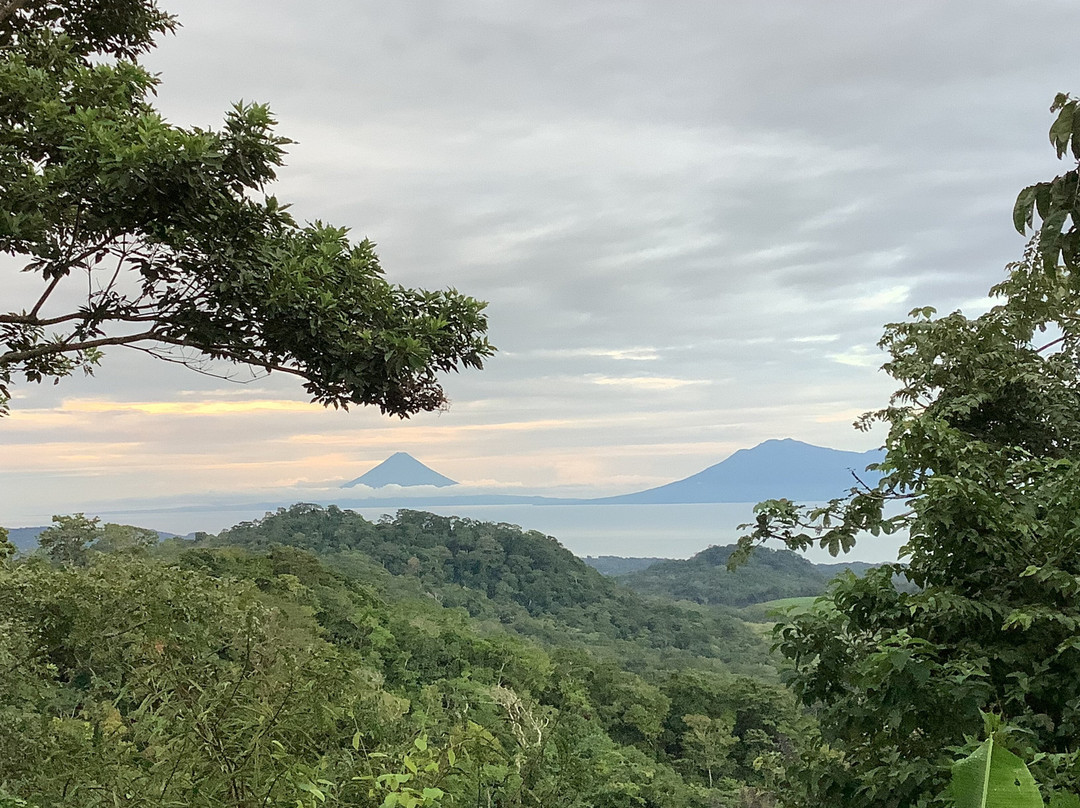 Tierra Madre Eco Lodge主图