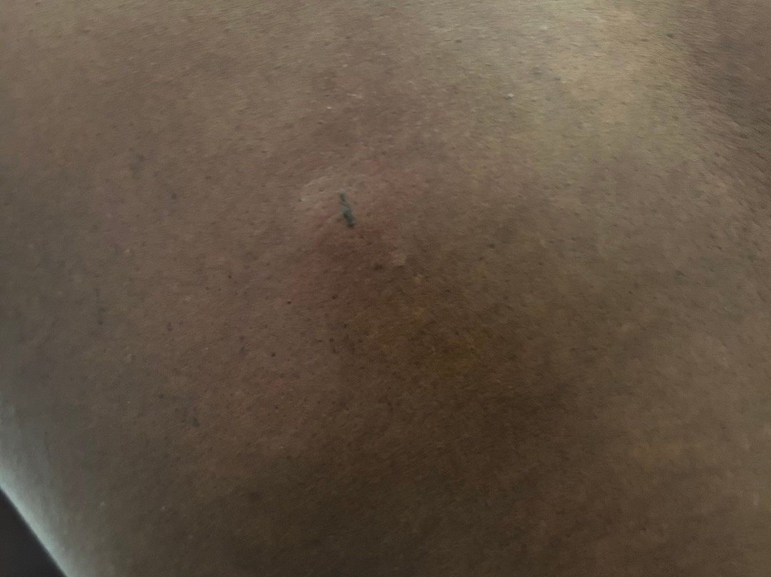 芝加哥欧克布鲁克假日酒店主图