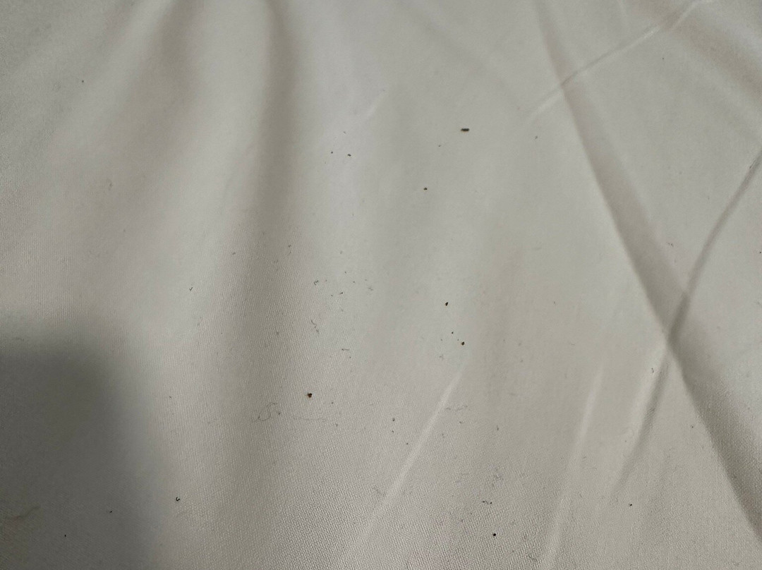 Hotel Colorado Lugano主图