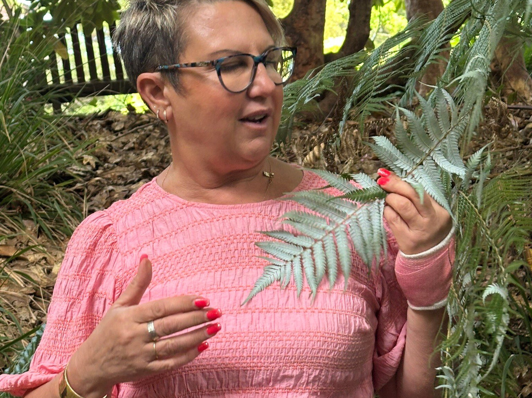 Bookatour-但尼丁必去景点