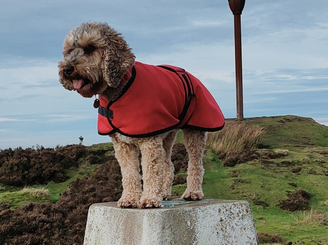Yorkshire Cycle Hub-惠特比必去景点