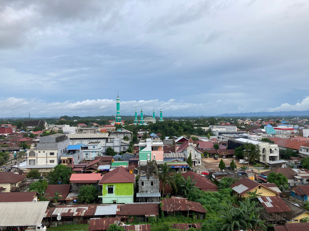 Palmy Exclusive主图