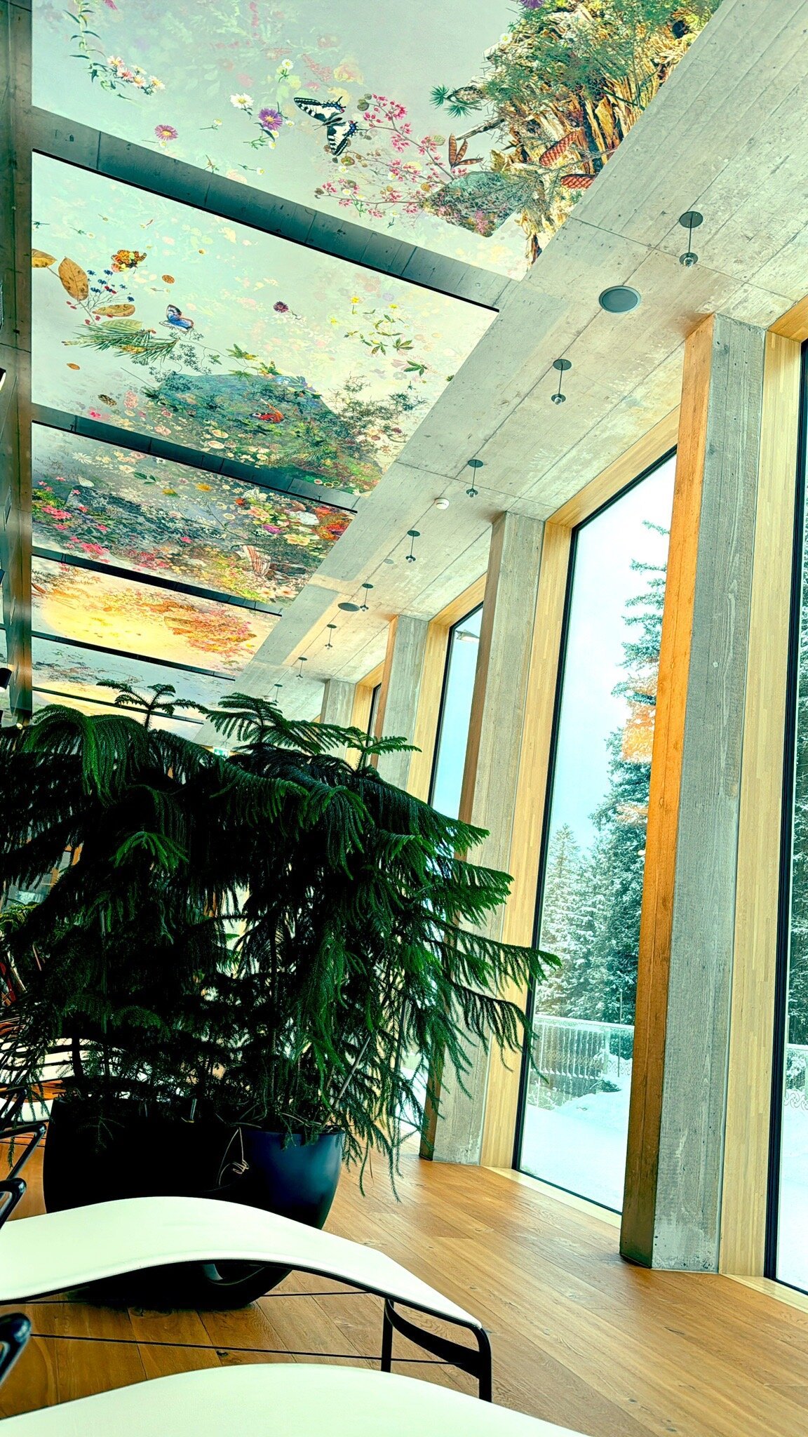 Säntis - Das Hotel-官方