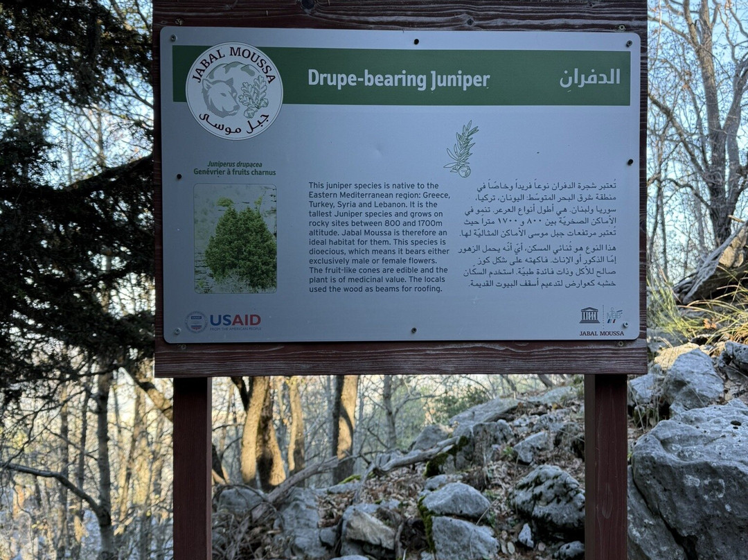 Jabal Moussa Biosphere Reserve景点图片