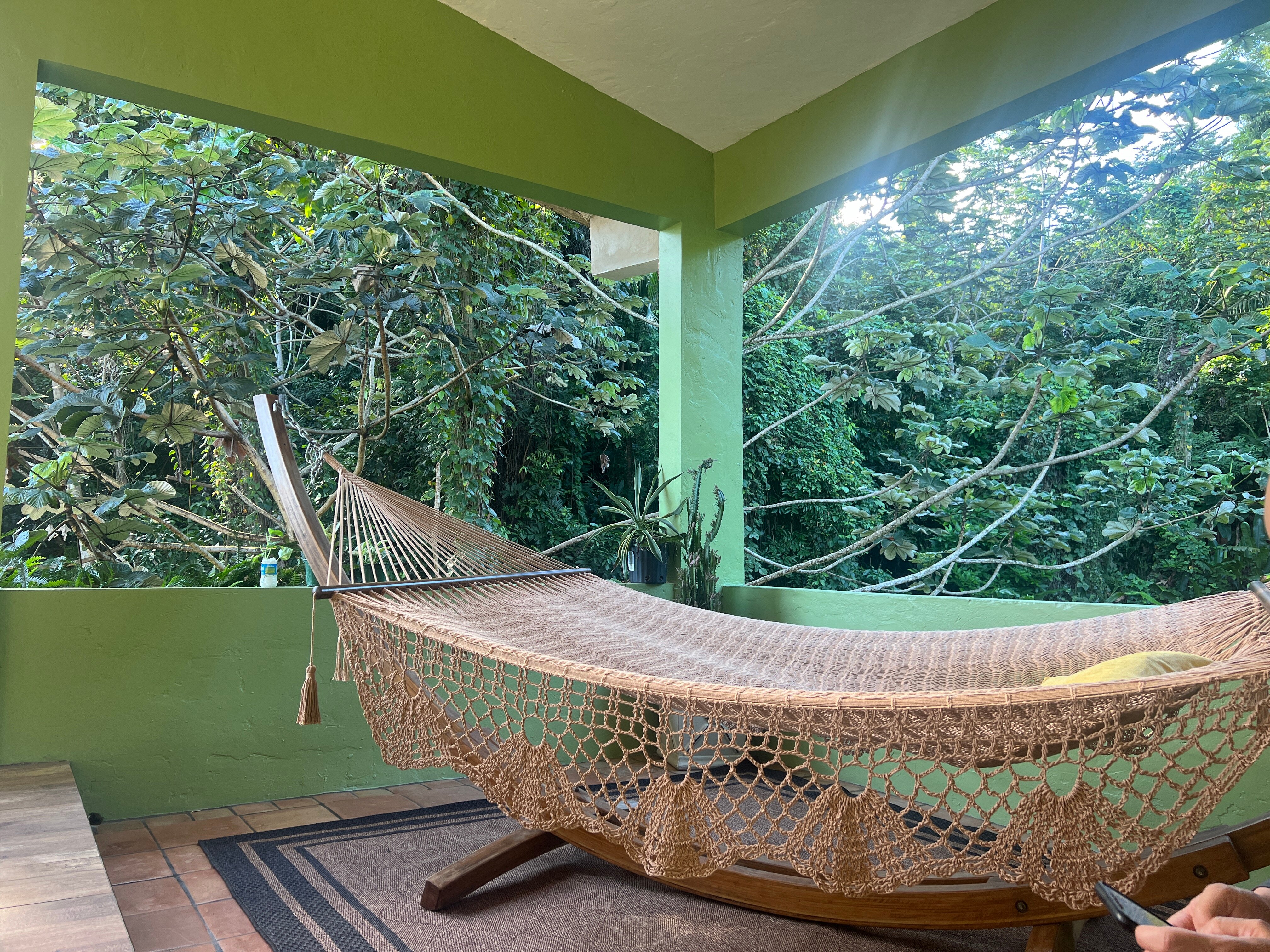 EL Yunque Rainforest Inn-酒店景观