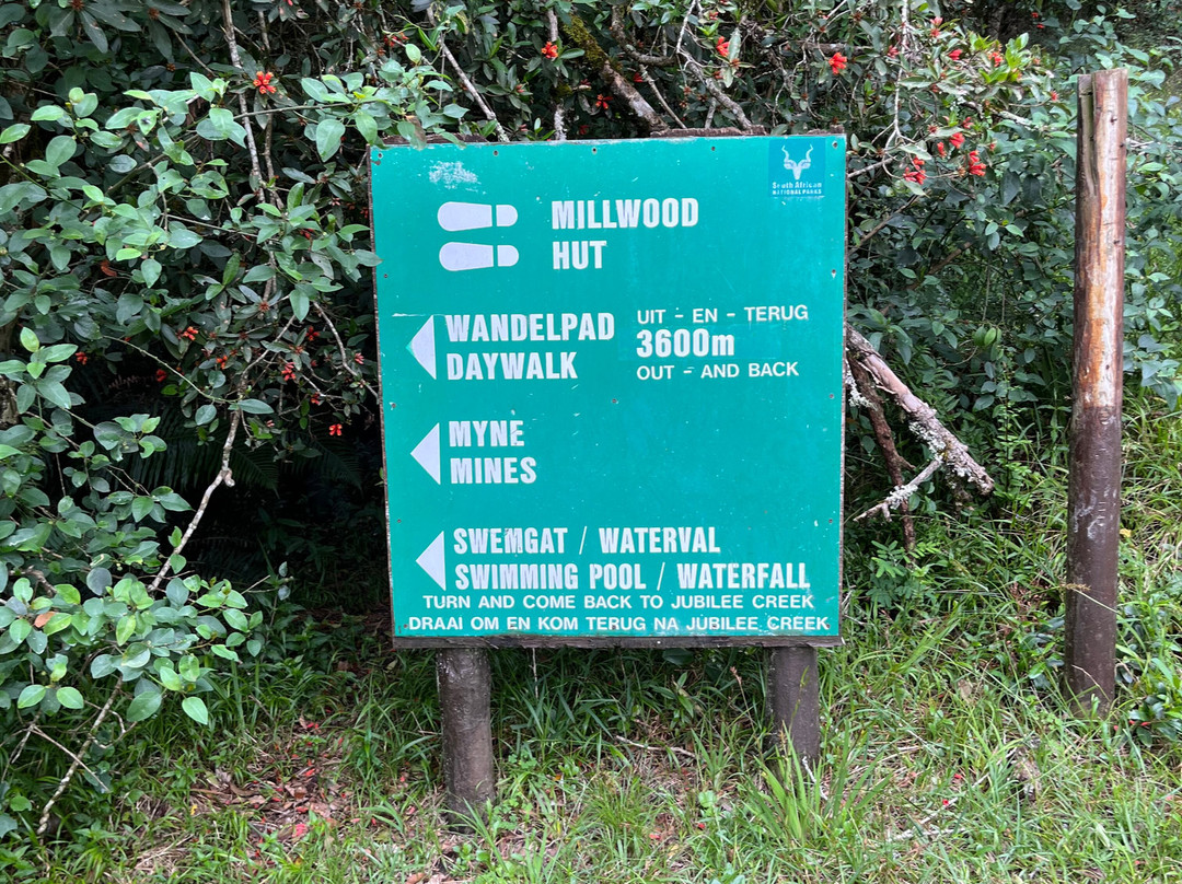 Jubilee Creek picnic site and walk-克尼斯纳必去景点