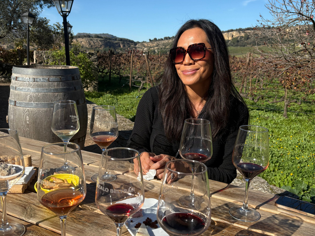 Bodega Gonzalo Beltran景点图片