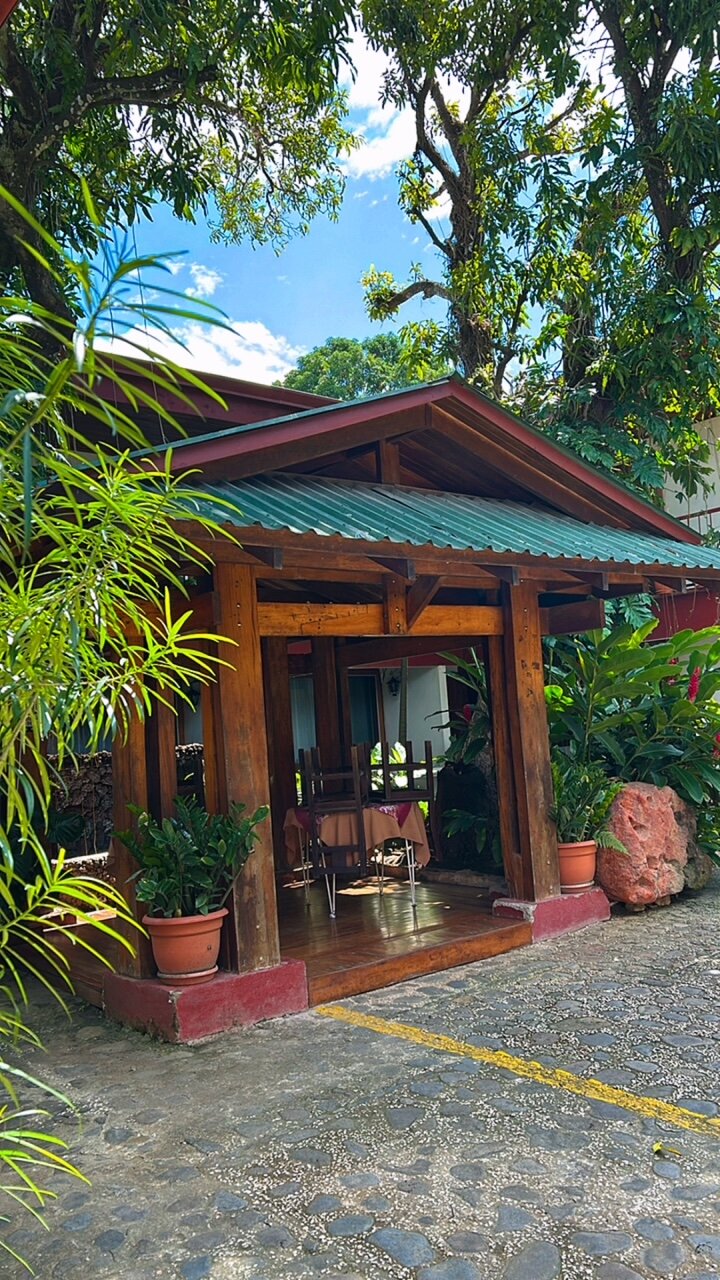 Hotel Javy-餐饮