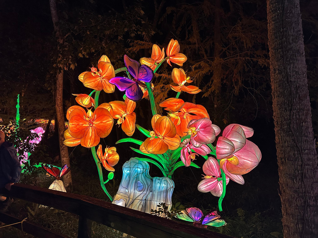 Asian Lantern Festival-桑福德必去景点