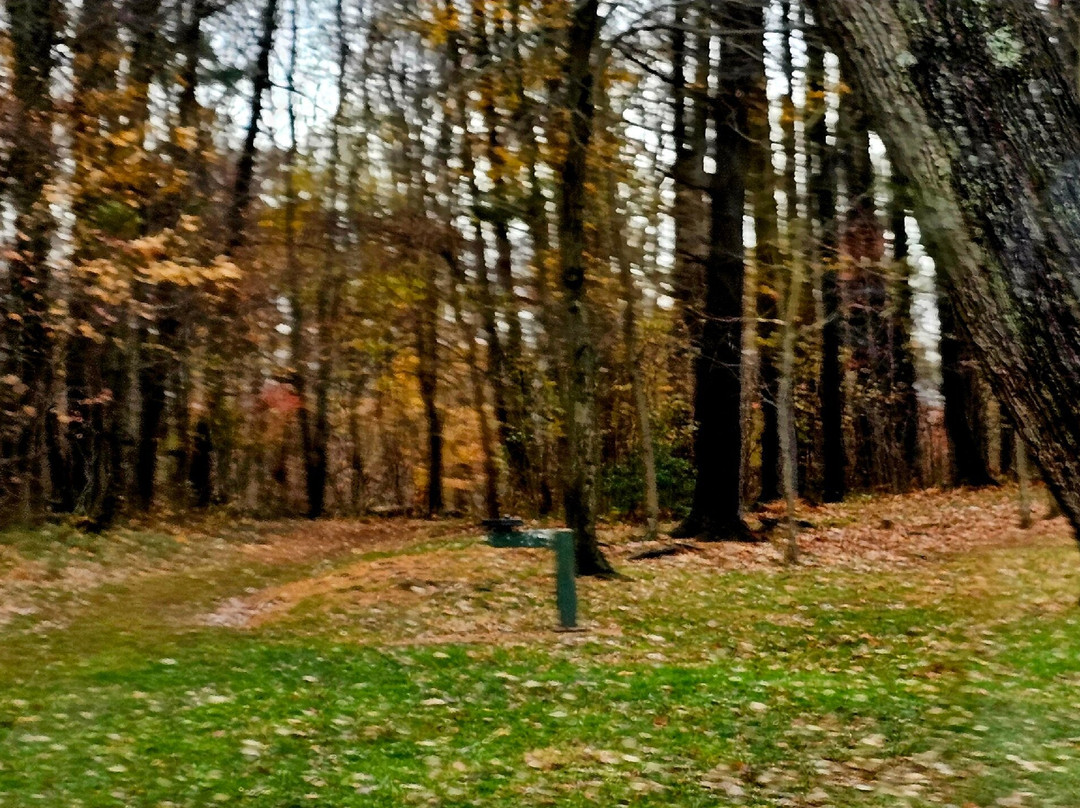 Krause Memorial Park-Parkville必去景点