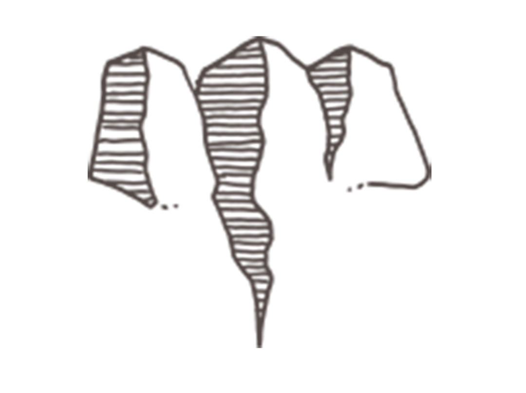Pygmy Elephant景点图片