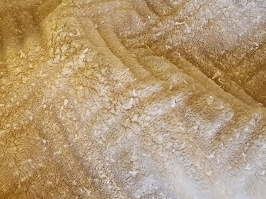 Wild Rose Casino and Resort主图