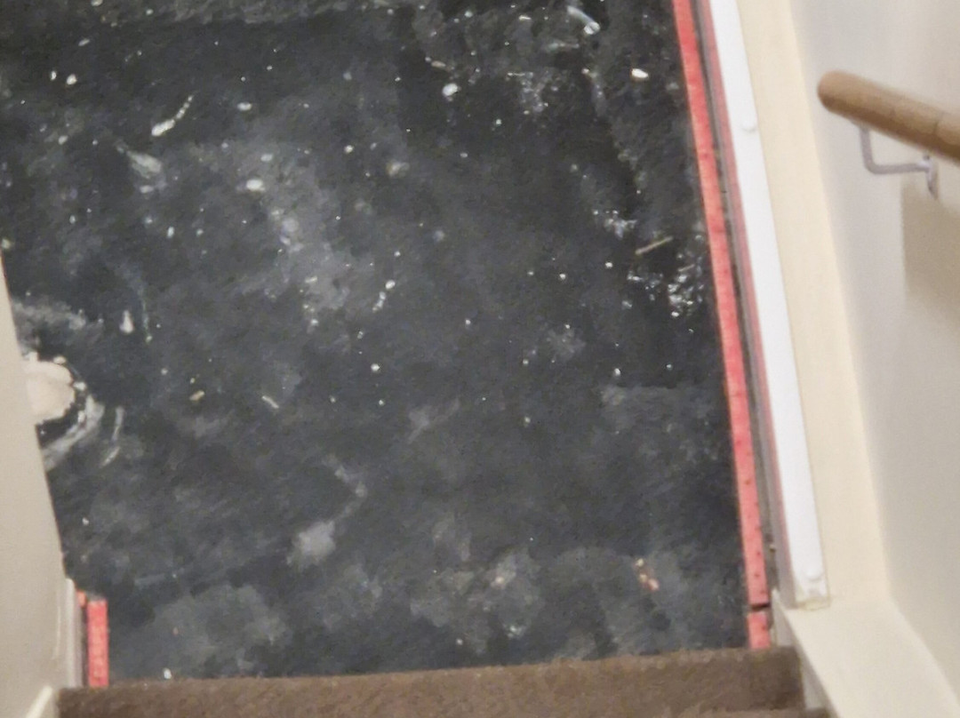 City Centre Guest House - Gloucester Park主图