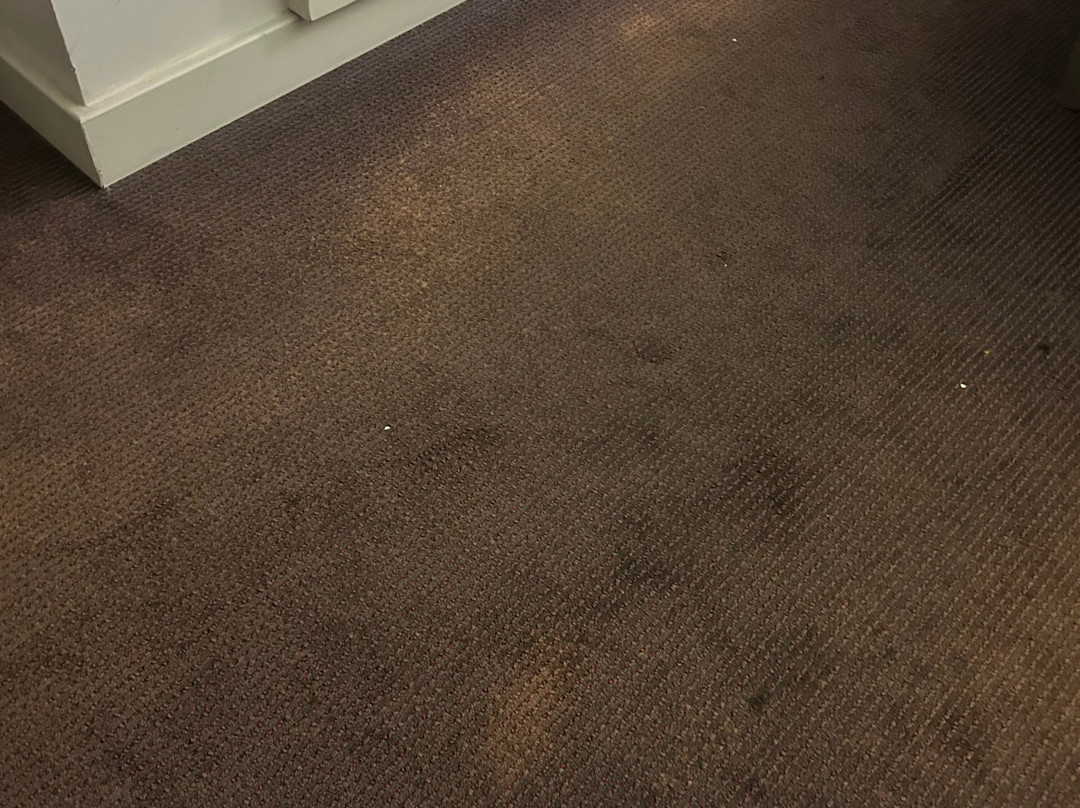 最佳西方圣莫里斯酒店主图