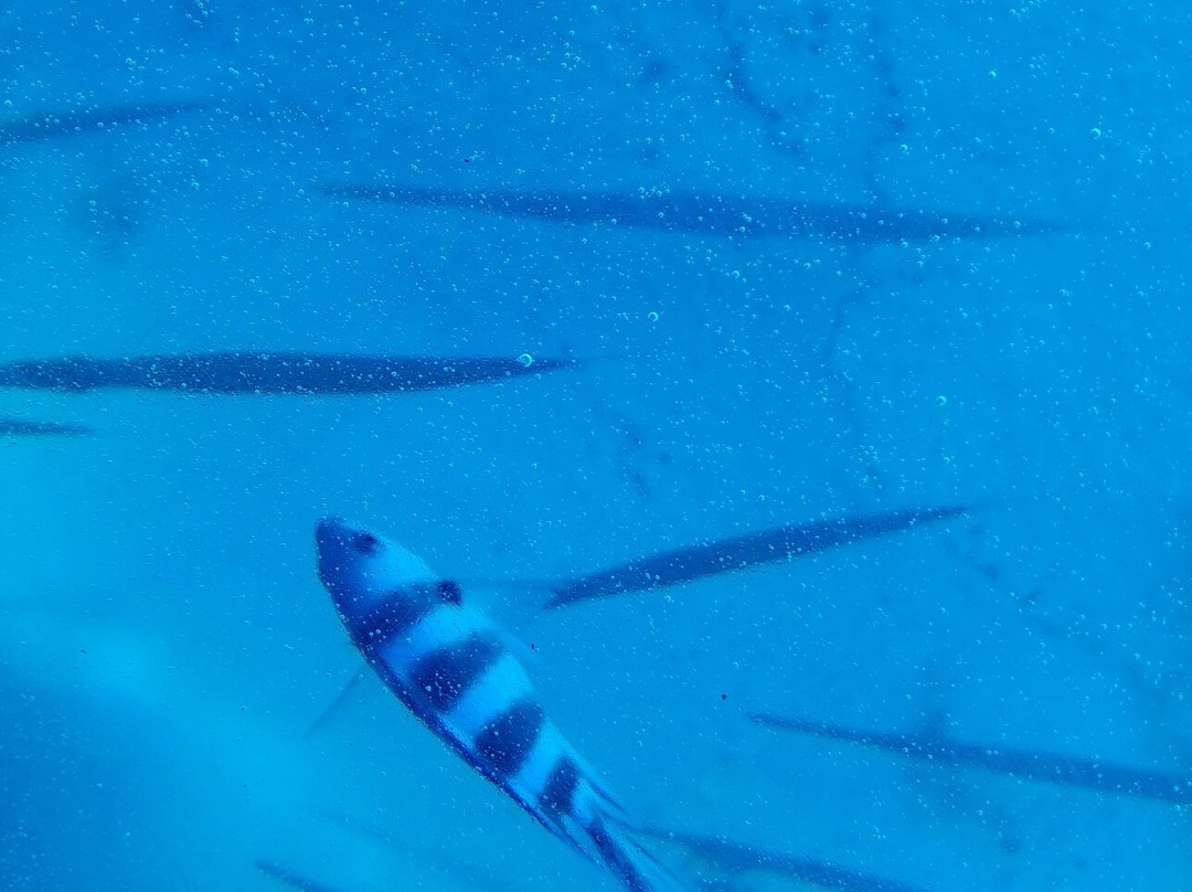 Blue Bay Marine Park-马喜埔必去景点