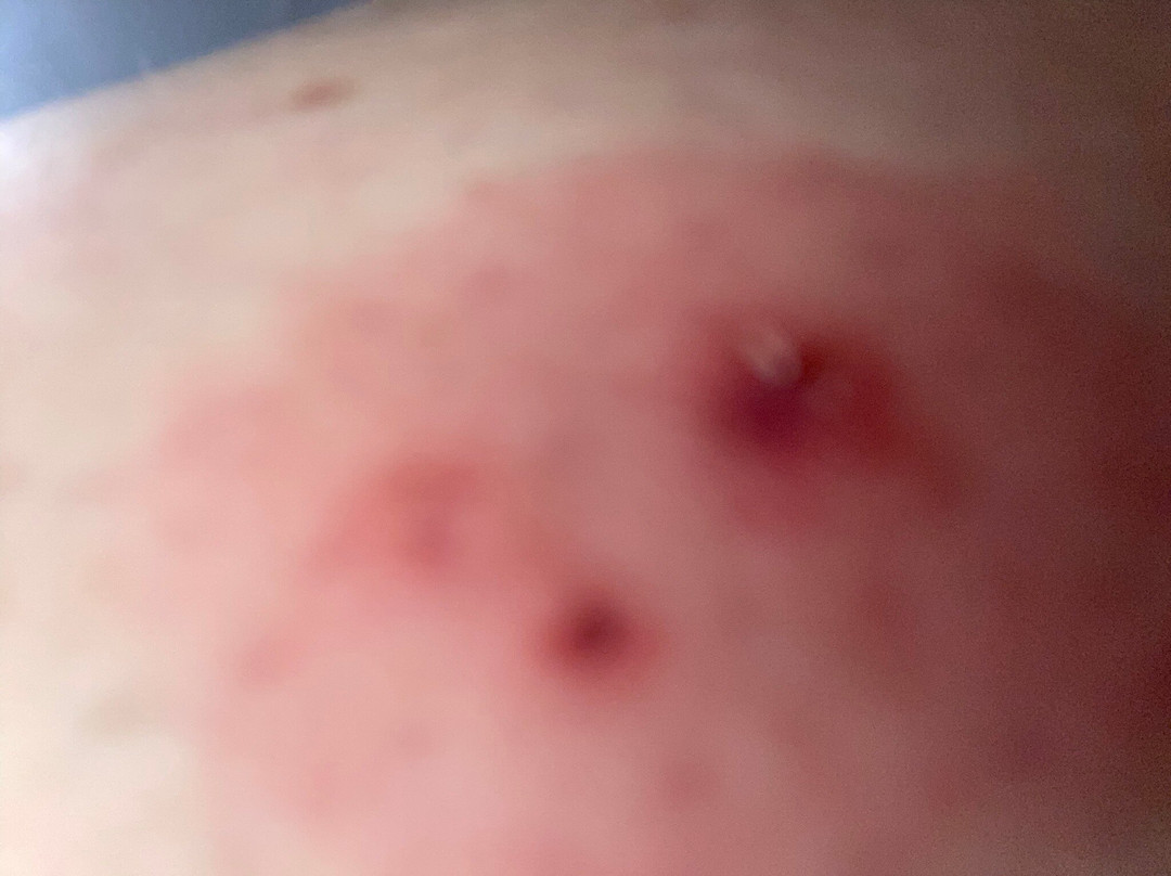 Extended Stay America - Boston - Marlborough主图