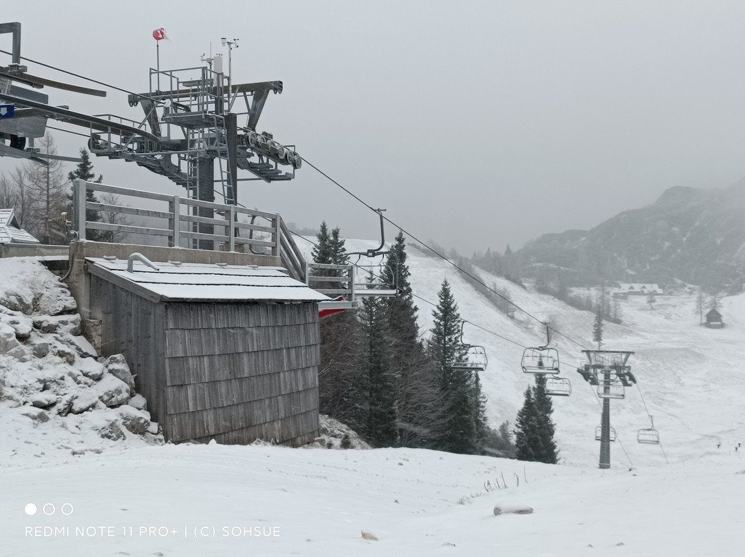 Vogel Cable Car景点图片