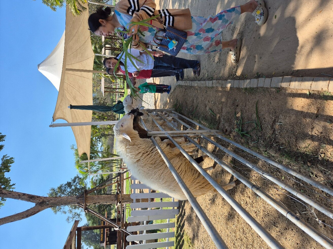 Farm Chokchai景点图片
