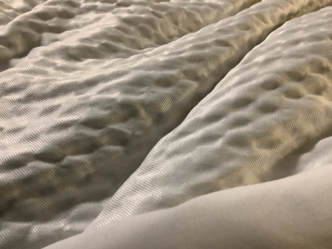 Red Roof Inn Hardeeville主图