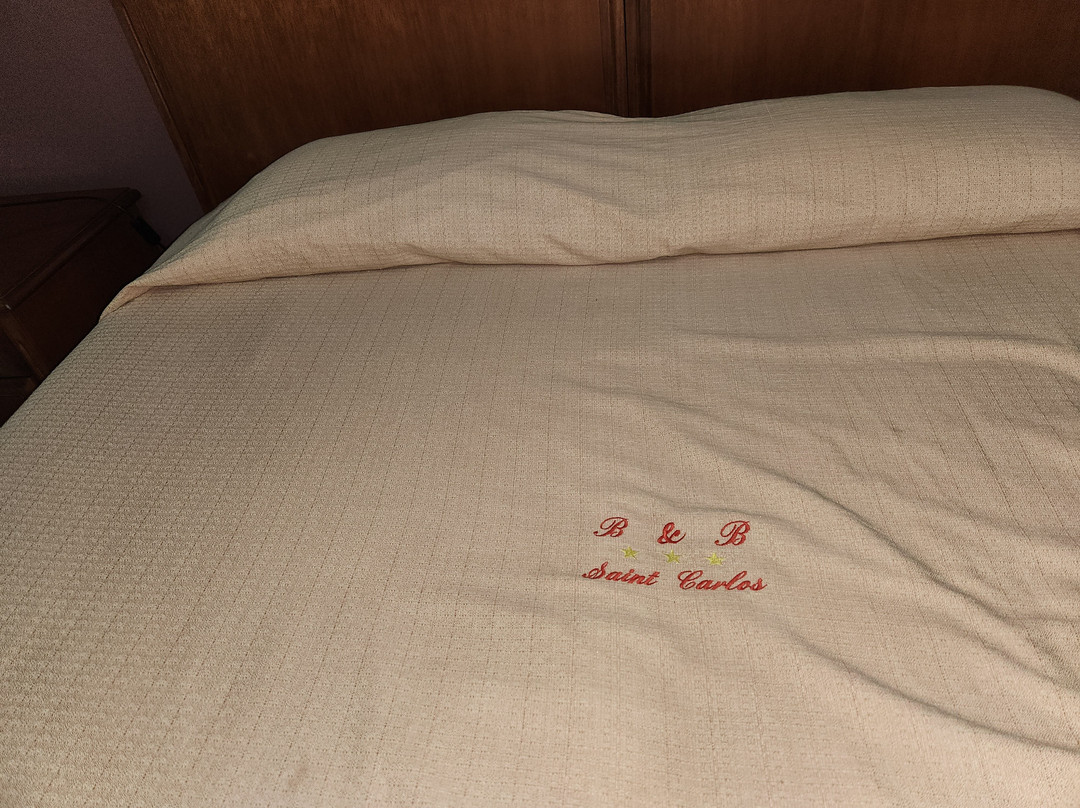 B & B Saint Carlos主图