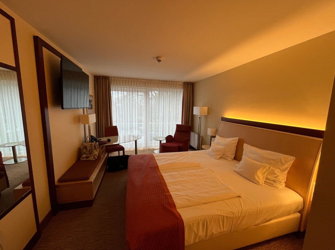 Best Western Plus Residenzhotel Lueneburg主图