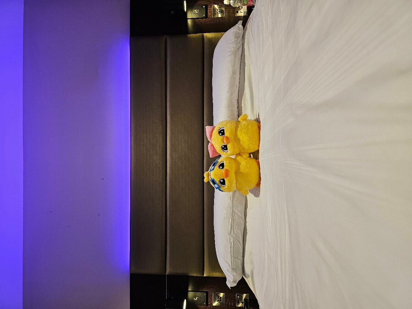 Premier Inn Glasgow (Hamilton) Hotel-官方